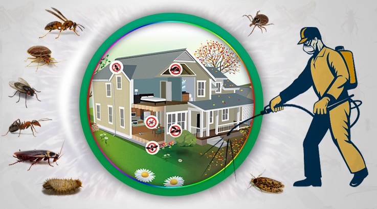 Kangal Böcek İlaçlama