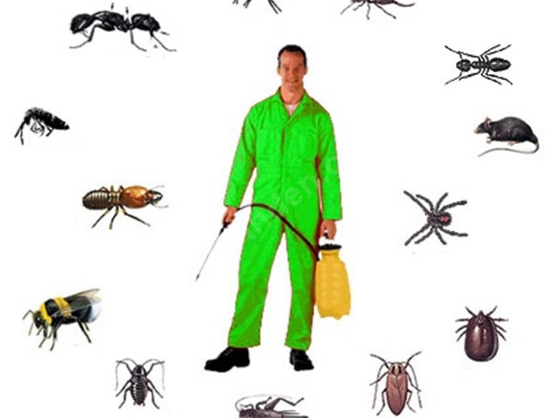 Kangal Böcek İlaçlama